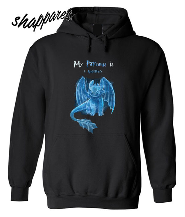 night fury hoodie